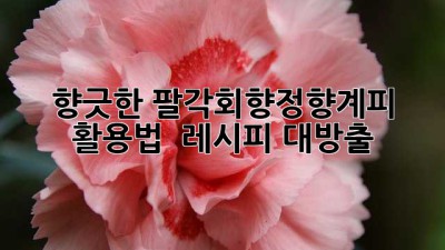 향긋한 팔각회향정향계피 활용법 ✨ 레시피 대방출!